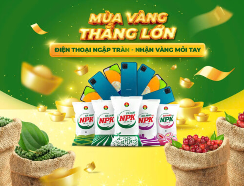 PHÂN BÓN CÀ MAU – SERIES FILM