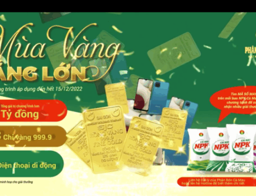 PHÂN BÓN CÀ MAU – SERIES FILM