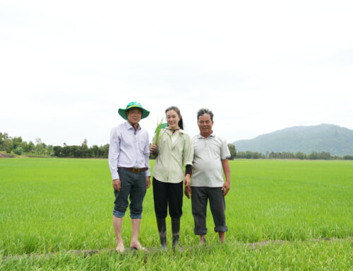 CHỌN PHÂN BÓN CÀ MAU, CHỌN ĐỐI TÁC BỀN LÂU